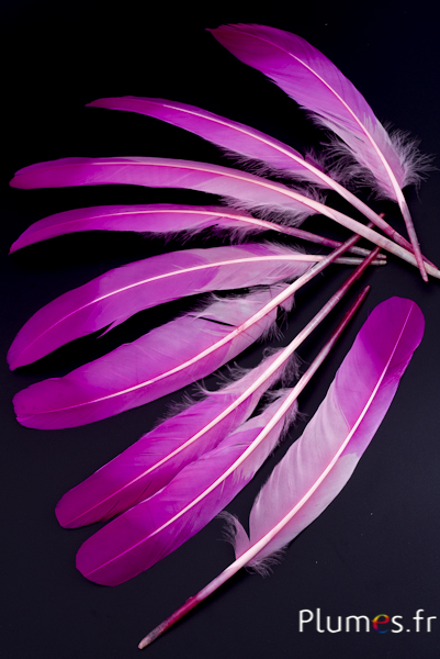 Cygne Soie - 25-30 cm - rose-fuchsia